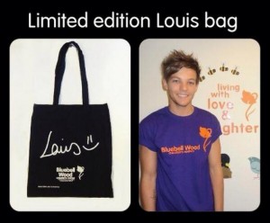 Louis bag